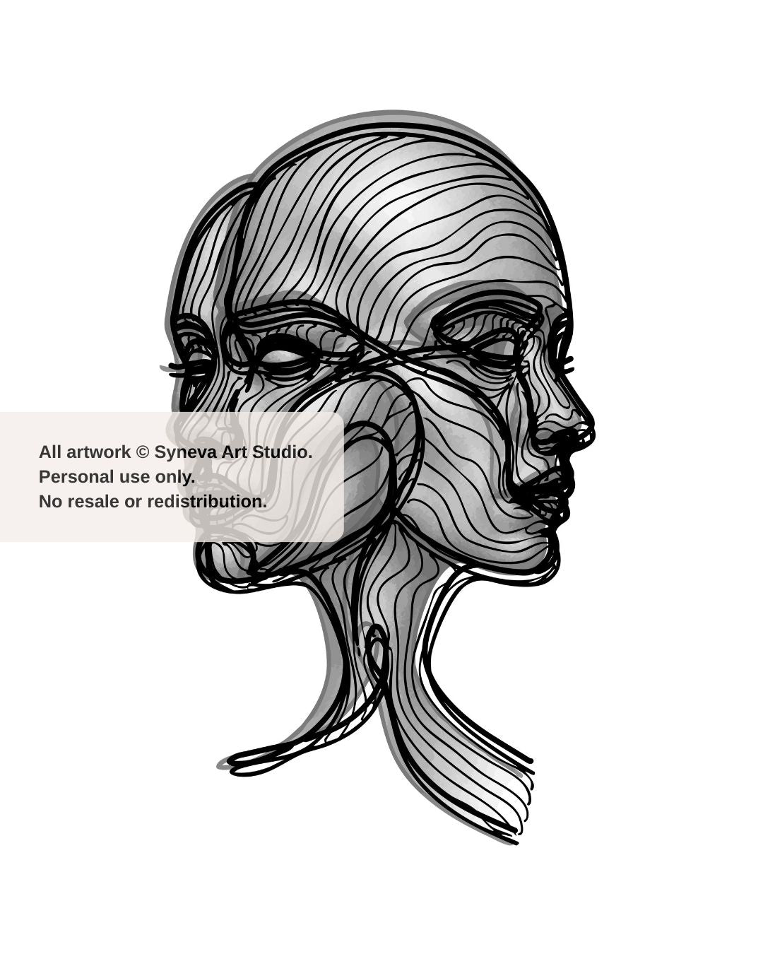 Line: Reverie No. 17